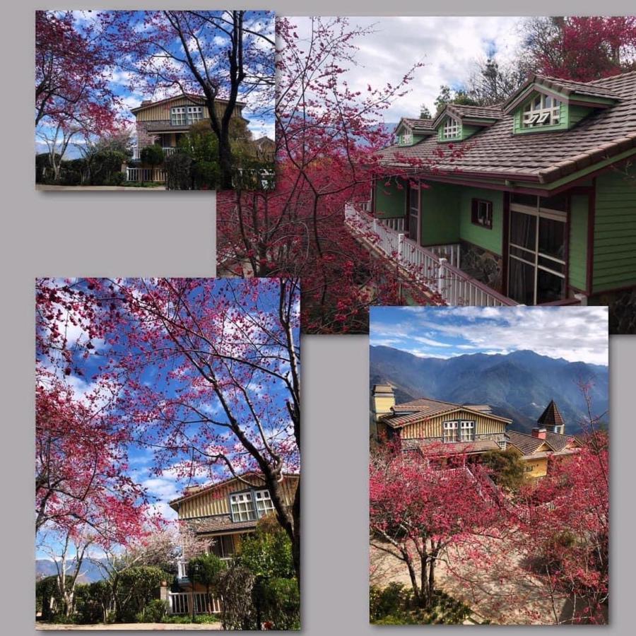 Dream Forest Villa Renai Exterior foto